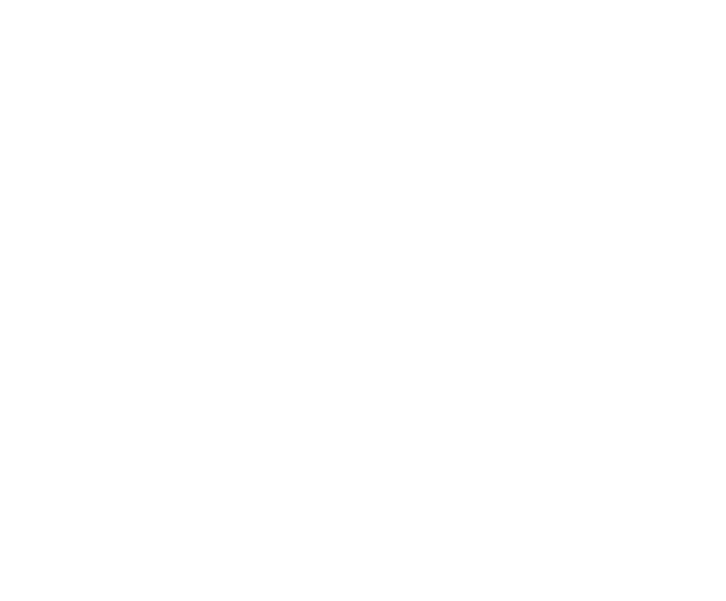 XXV ВСКС